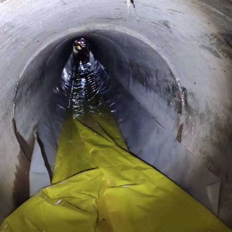 麻城管道光固化修复